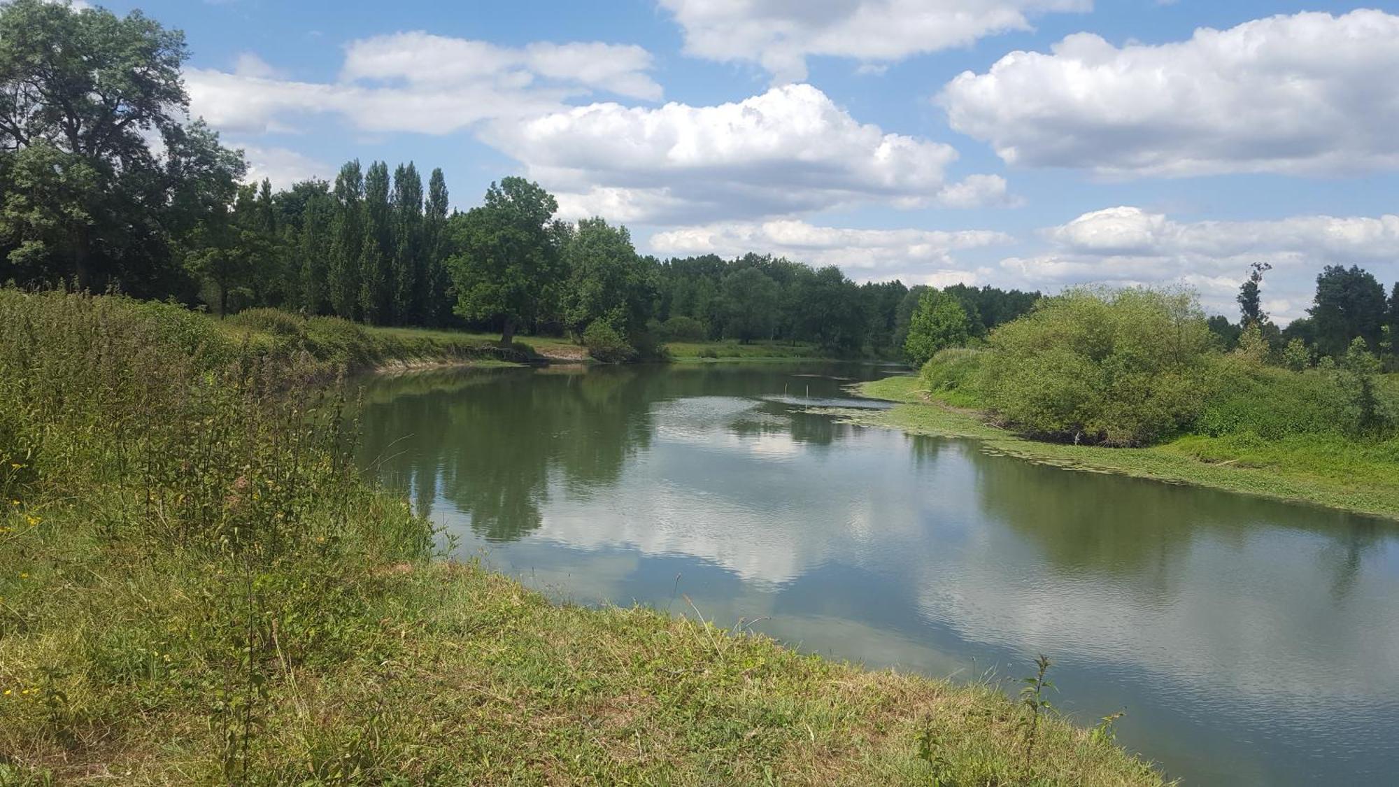 Gite Angers Proche Бриолле Экстерьер фото