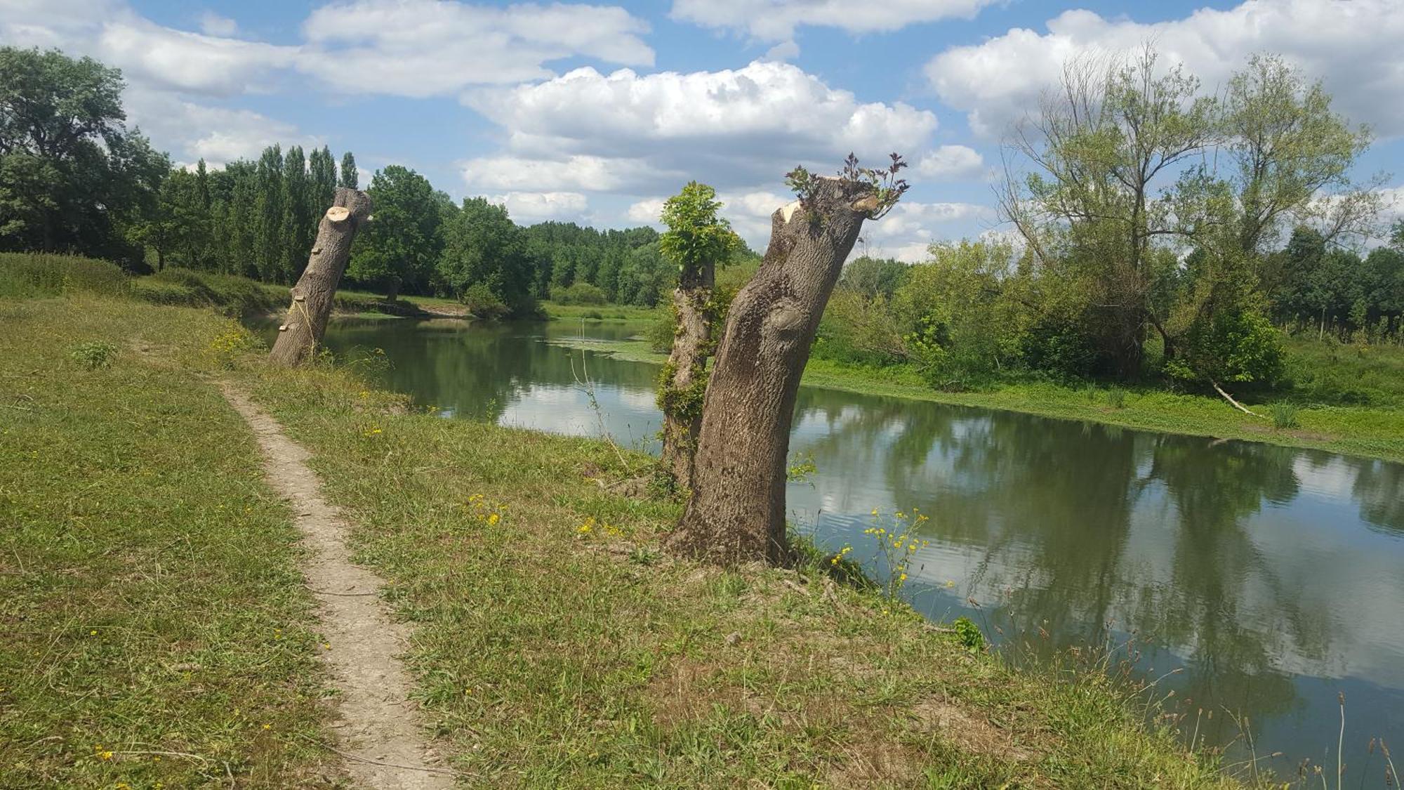 Gite Angers Proche Бриолле Экстерьер фото