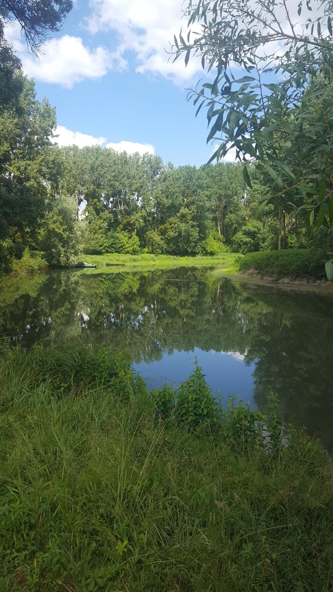 Gite Angers Proche Бриолле Экстерьер фото